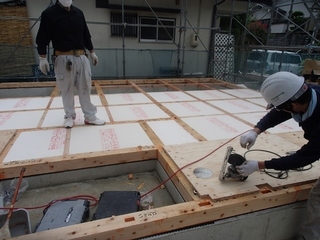 042 (640x480).jpg