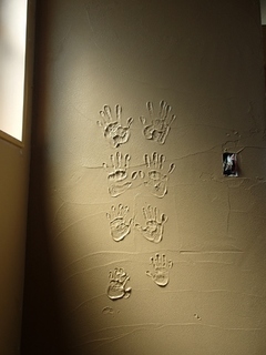 P8010084 (480x640).jpg